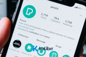 Mau Sukses di Era Digital? Pelajari WhatsApp Marketing dengan Ebook PDF Gratis!