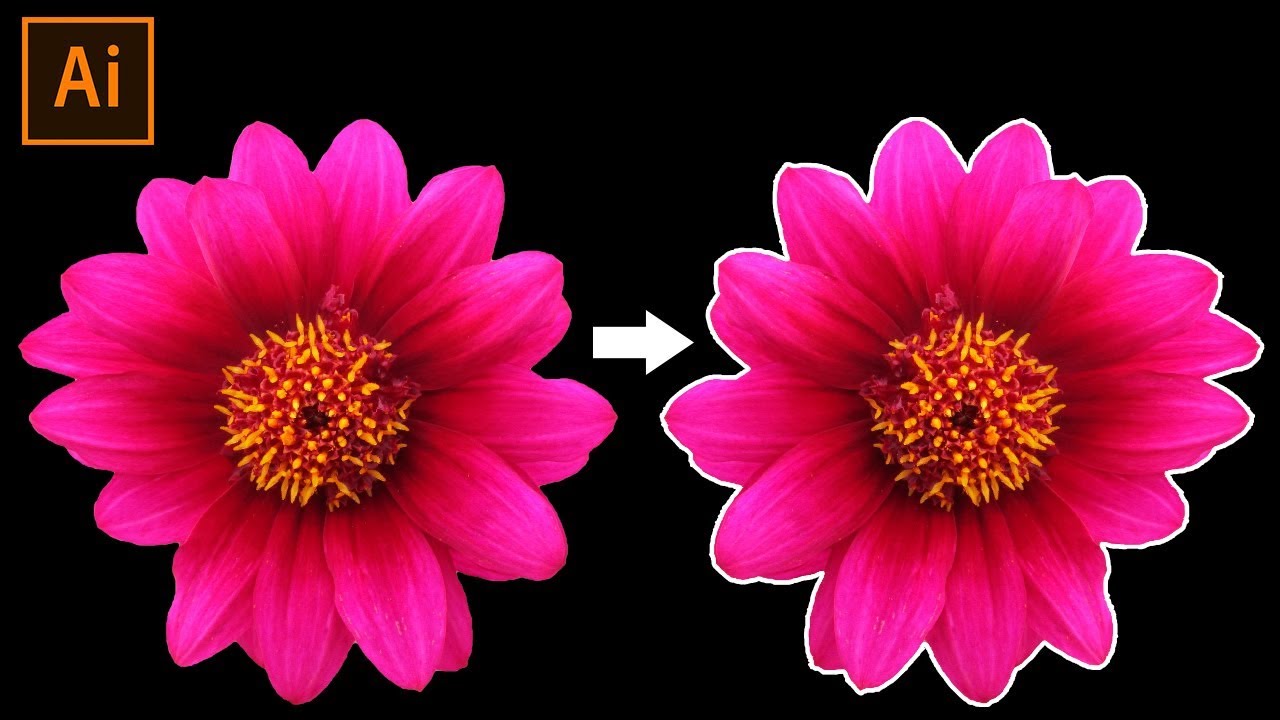 Cara Membuat Outline Gambar Di Adobe Illustrator - YouTube